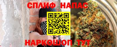 спиды Кузнецк