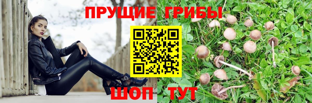хочу наркоту  Вход с VPN  Гулькевичи  Галлюциногенные грибы MAGIC MUSHROOMS 